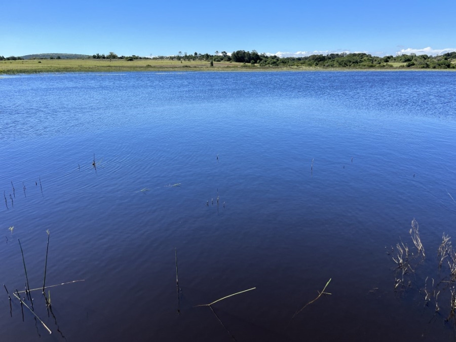 Commercial Property for Sale in Bathurst Rural Eastern Cape